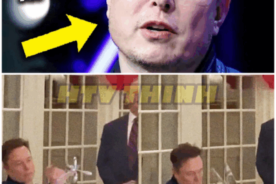 Elon Musk’s Bizarre White House Video Goes Viral… Looks AWFUL For Him – HTT