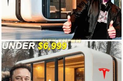 $7,579 Tesla Tiny House Revealed: Taxes Free, Land Deed Free. Every You Need To Know Here