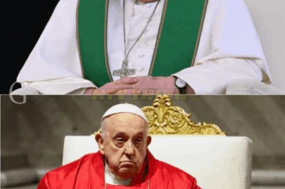 BREAKING: Pope Francis Has Passed Away At 88