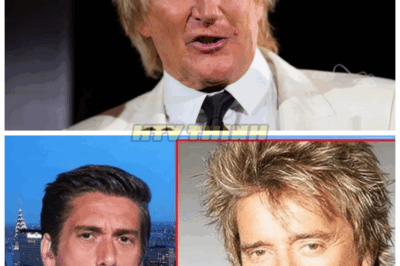 Have You Heard What Happened To Rod Stewart?