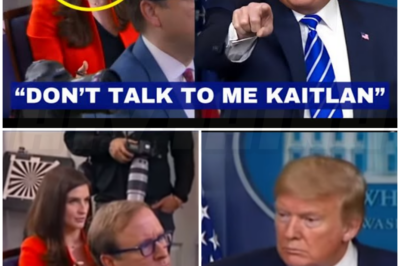 ♌ – Trump Said This To Kaitlan Collins