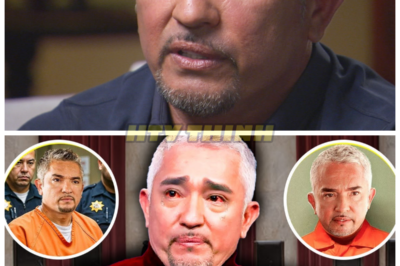 Cesar Milan Stunned The Entire United States With This Announcement