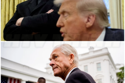 ♌ – Elon Musk spat Peter Navarro