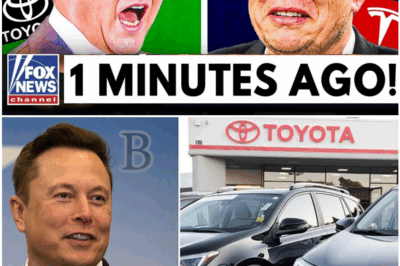 🚨Toyota CEO Publicly Challenges Elon Musk and Tesla’s EV Vision in Explosive Statement That Shocks the Auto Industry
