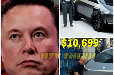 🚨 IT’S REAL! $13,999 Tesla Model Q Spotted in Public – Elon Musk Confirms Shocking Features & Next-Gen Tech!
