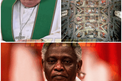 🕊️ After Pope Francis’s Death, the World Watches: Who Will Be Chosen to Shape the Future of Faith?