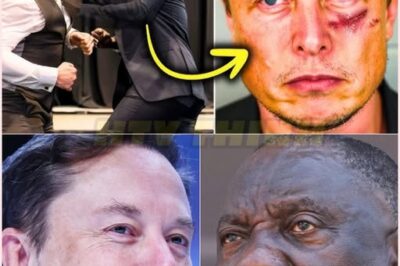 SHOCK!!! A Black man pushed Elon Musk down at a scientific meeting simply for saying this….