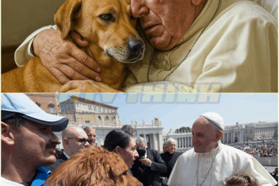 Pope Francis’ Final Goodbye to His Dog Left Everyone in Tears…