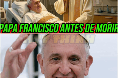 EL PERRO DEL PAPA FRANCISCO QUE NO LO ABANDONÓ… NI SIQUIERA TRAS SU MUERTE