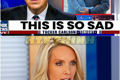 After Divorce, Dana Perino Finally Breaks Silence on Her Husband