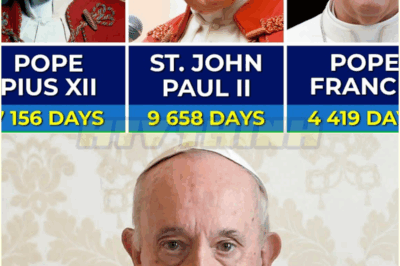 Todos los papas de la Iglesia Católica: San Pedro – Papa Francisco