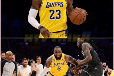 LeBron James Will Face 24th Different Team in NBA Playoffs When Lakers Play Wolves.