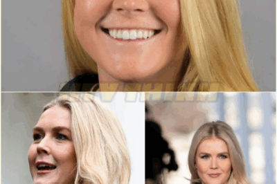 When the reason was exposed, no one doubted it anymore: Fans are losing their minds after Karoline Leavitt reacted violently to veteran MSNBC host Nicolle Wallace, but…