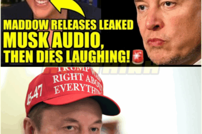 🚨Maddow CRACKS UP After Revealing SECRET MUSK RECORDING