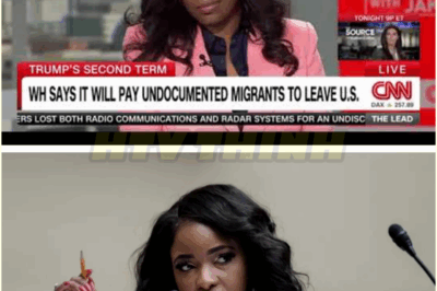 From Student Loans to Immigration Lies: Rep. Jasmine Crockett Sets the Record Straight