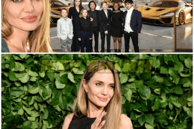 Angelina Jolie’s Lifestyle 2024 | 6 Children, Mansion, Net Worth, Yacht, Huge Car Collection… – HTT