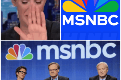 ♌ – Rachel Maddow