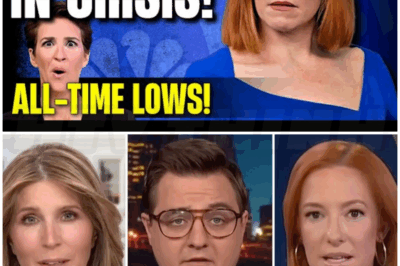 ♌ – MSNBC Ratings Without Rachel Maddow