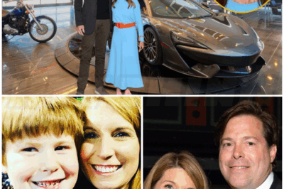 ♌ – The Lifestyle of Nicolle Wallace 2025
