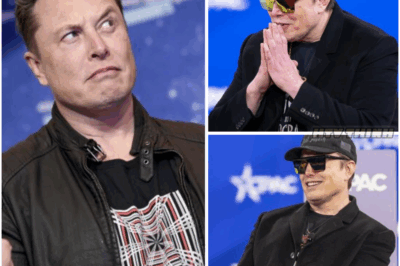 Elon Musk’s Wild Online Rampage: Has He Finally Lost Touch with Reality?