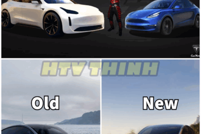 Which one should you choose? Comparing Tesla 2024 Model Y Juniper to The Older Model Y – HTT