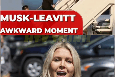 Elon Musk’s AWKWARD MOMENT on Air Force One: tries to AVOID LOOKING at Karoline Levitt