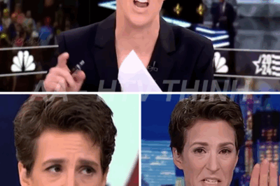 Rachel Maddow BLOWS THE WHISTLE on MSNBC bosses