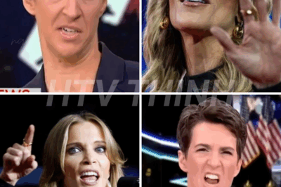 Megyn Kelly BREAKS OUT ON SOCIAL MEDIA