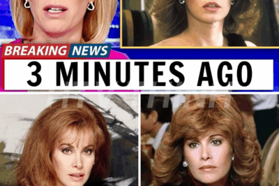 Stefanie Powers Is 82, Try Not to Gasp When You See Her Today