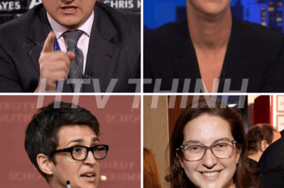 MSNBC CIVIL WAR: Chris Hayes unexpectedly criticized Rachel Maddow’s knowledge and expertise.