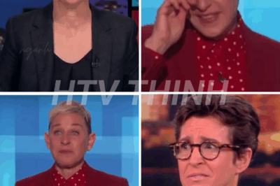 Rachel Maddow mocked Ellen DeGeneres live on TV… “Take off your fake smile”