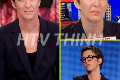 CONFIRMED: Rachel Maddow was fired from Nightly News