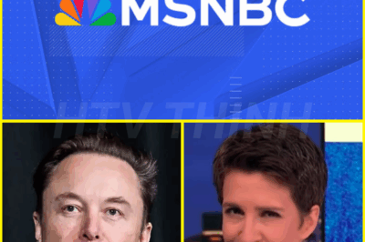 MSNBC mayhem: Rachel Maddow bursts into tears over Elon Musk ‘buying’ news channel meme? Here’s the truth