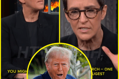 Rachel Maddow compares the civil dissent of Trump’s first and second terms.