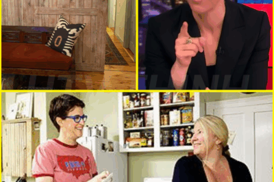 Inside MSNBC Host Rachel Maddow’s Remote Farmhouse Hideaway