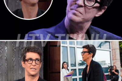 Rachel Maddow’s abrupt exit from the set leaves viewers stunned