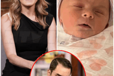 ♌ – Nicolle Wallace’s journey to giving birth at age 51