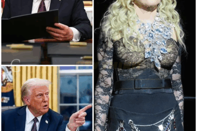 Madonna attacks Donald Trump for ‘destroying’ the freedom of the LGBTQ+ community and urges fans: ‘Never give up the fight!’
