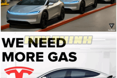 It Happened! Elon Musk Confirms 2025 Tesla Model 2 Launch Date! New Design & Specs Will Shock You! – HTT