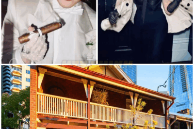 🚨 INSIDE Madonna’s MOODY $62 MILLION NYC HOME That’s SHOCKING Fans With Its DARK LUXURY & SECRET VIBES! 🖤🏙️