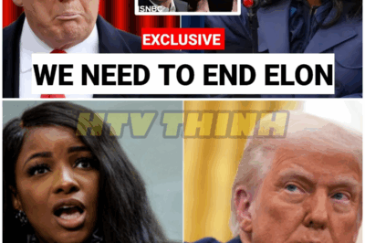 Jasmine Crockett Roasting Elon and Trump for 25 min Straight, Trump LOST IT – HTT