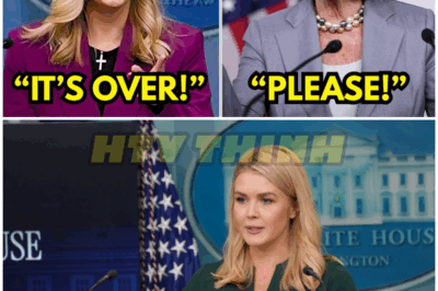 Karoline Leavitt SHUTS DOWN Pelosi in Front of America – Even Democrats Were Shocked! – HTT
