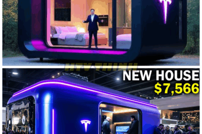 Elon Musk Finally Launch $7,566 Tesla Tiny House! Amazing Inside!