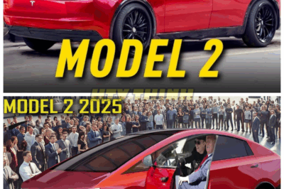 🚗 Tesla Model 2 Revealed at $11,795 – Elon Musk’s Budget EV Is Real, and It’s About to Break Records 📉 Say goodbye to overpriced electric cars. Tesla Model 2 is compact, stylish, and under $12K! Elon Musk just made EVs mainstream, and legacy automakers should be very worried right now 👇