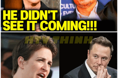 BOOM: Elon Musk RAGES After Maddow GOES PUBLIC With THIS! – HTT