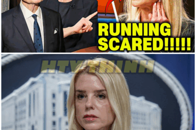 BOOM! Maddow & O’Donnell HUMILIATE Pam Bondi LIVE — Trump LOSES IT! – HTT