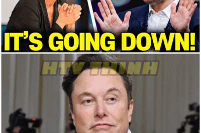 FED UP Maddow delivers FINAL BLOW to ‘Convict Elon Musk’ – HTT