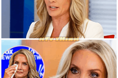 💥 Dana Perino’s Divorce Bombshell: What She Just Revealed About Her Husband Will Leave America Stunned and Questioning Everything We Thought We Knew After years of keeping her private life off the radar, Dana Perino just dropped a confession that has fans reeling. The beloved political commentator finally broke her silence after her shocking divorce—and what she revealed about her husband behind the scenes is something no one expected.👇