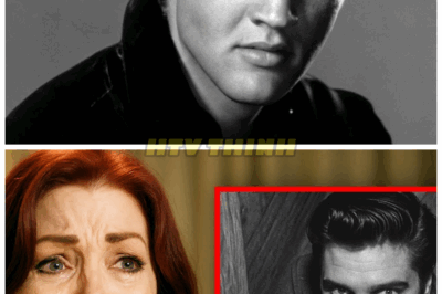 😱 After 48 Years Sealed Shut, Elvis Presley’s Attic Was Opened—And the Mysterious Figure Found Inside Is Turning the Internet Upside Down A quiet renovation project led to the discovery of a lifetime. Deep inside the attic of Elvis’ mansion, something—or someone—was waiting. And now, the public can’t stop speculating about the shocking identity they uncovered👇