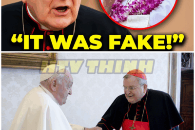 Cardinal Raymond Burke’s Confession After Pope Francis Death Leaves Fans Speechless – HTT